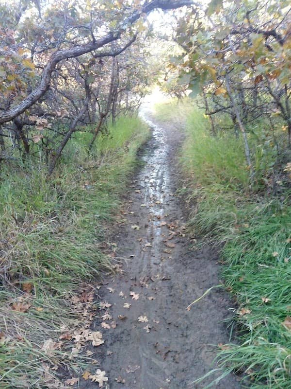 Dry Canyon Bike Park - Image 1