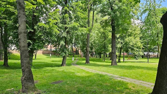 Park Im. Piotra Sosnickiego w Buku - Image 1
