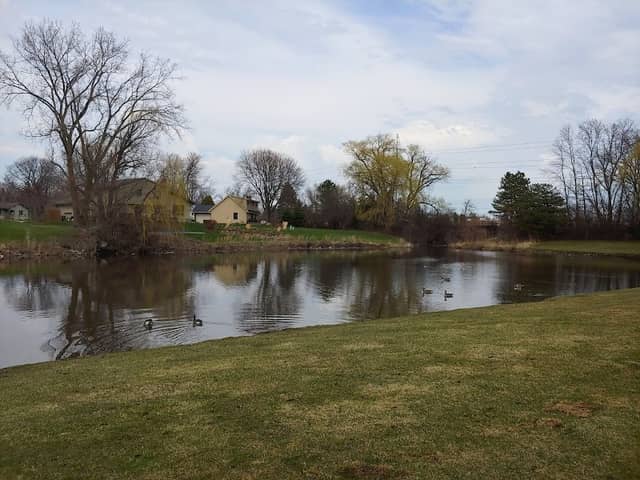 Village Park - Image 2