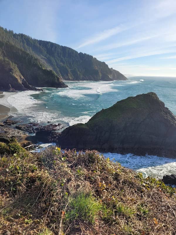 Whale Park - Image 1