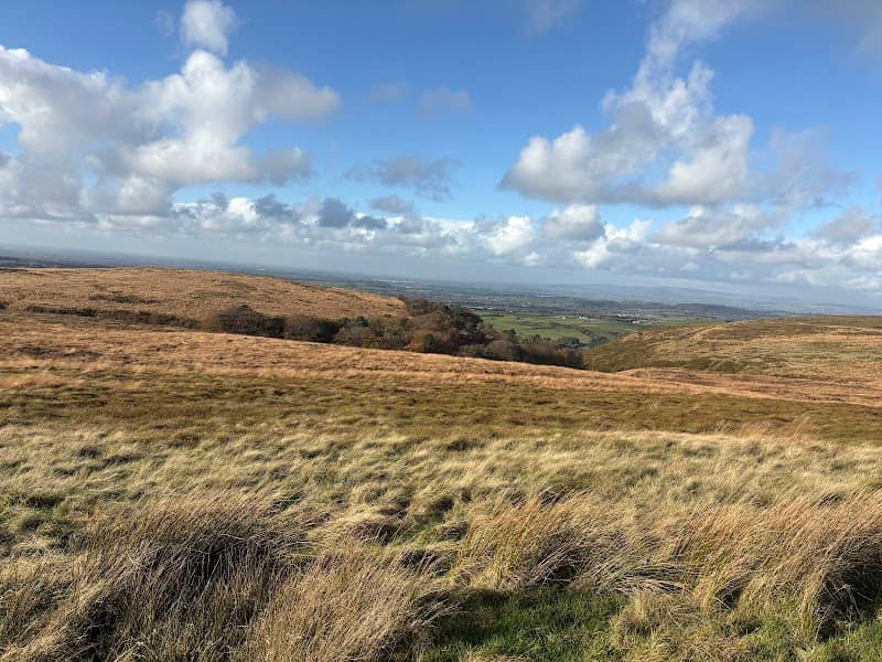 Darwen Moor - Image 1