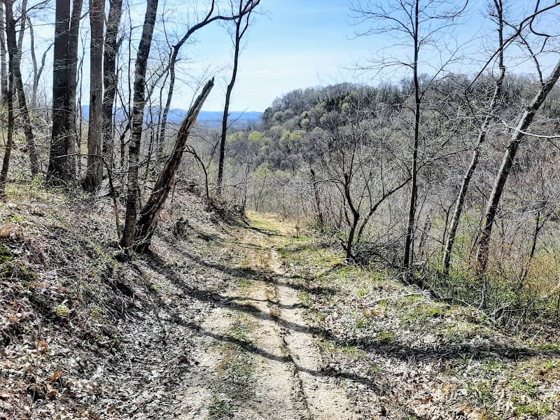 Cassville Bluffs State Natural Area - Image 1