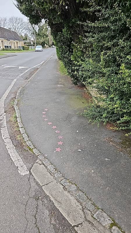 Pink and purple fox trail - Image 2