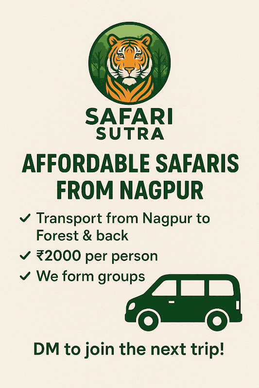 Safari Sutra - Image 1