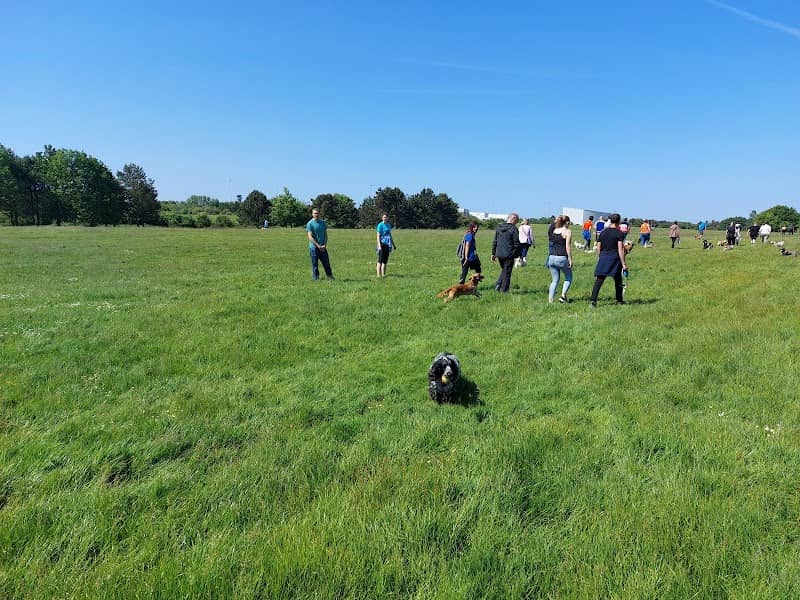 Wigmore Valley Park - Image 1