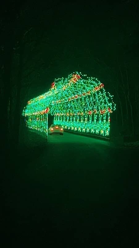 Lane of Lights - Image 2