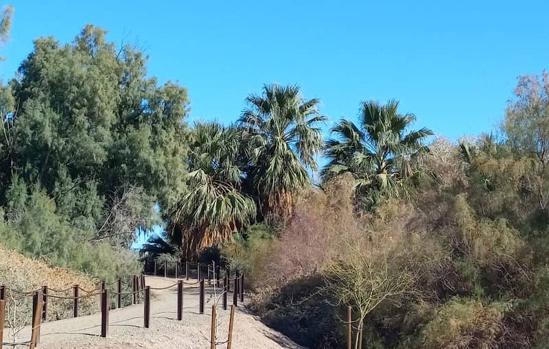 Holtville Skatepark - Image 1