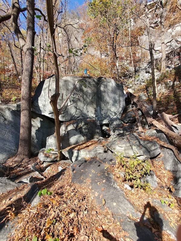 Chimney Rock State Park - Rumbling Bald - Image 2