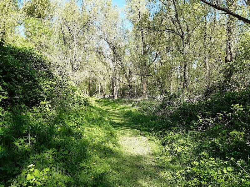 Wilgenbos - Image 1