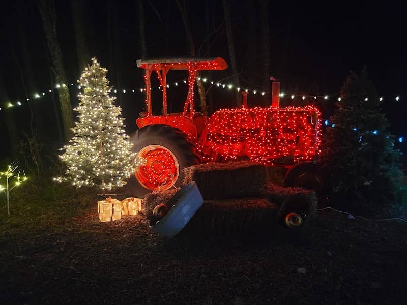 The Patch by Rupe Family Farms - Image 2