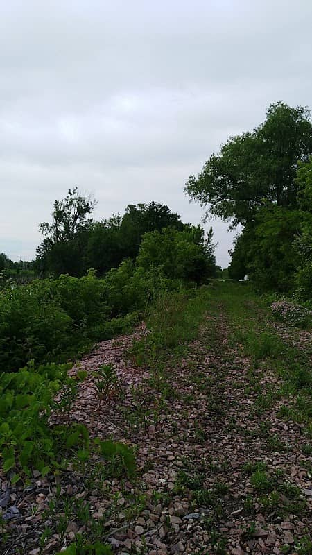 Carney Marsh, Polk County Conservation Board - Image 2