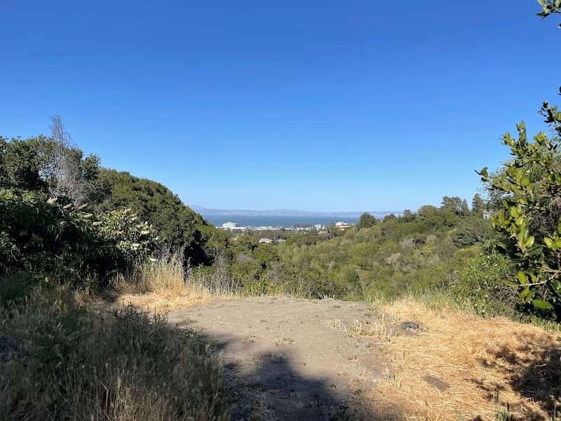 Mills Canyon - Arguello - Image 2