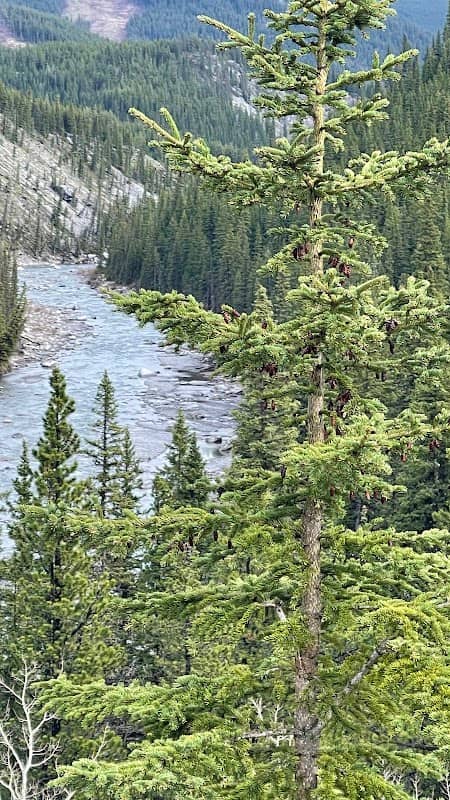 Elbow River Lookout - Image 2