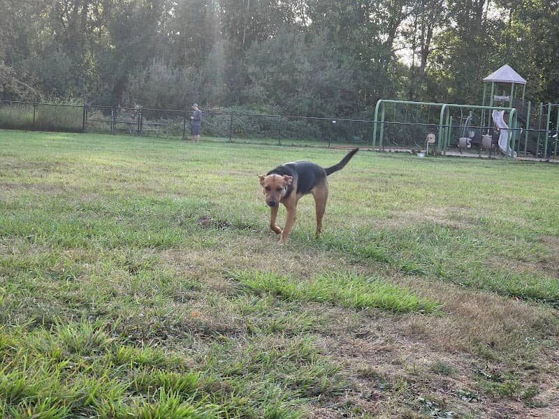 Orting Dog Park - Image 1