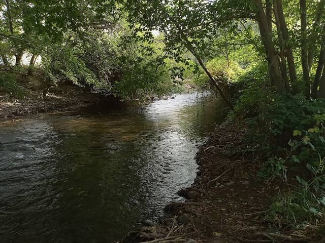 Asotin City Park - Image 1