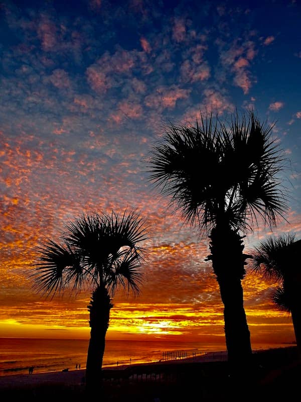 Tarpon Beach - Image 2
