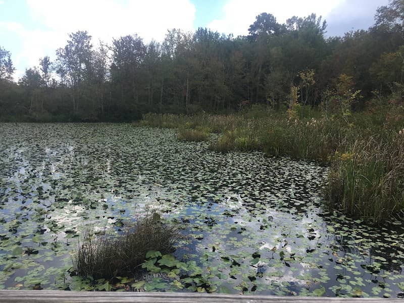 NeSmith Preserve - Starr's Mill Environmental Trail & Boardwalk - Image 1