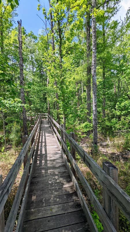 NeSmith Preserve - Starr's Mill Environmental Trail & Boardwalk - Image 2