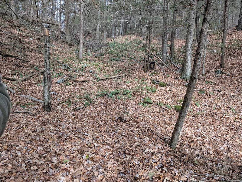 Westfield Wildlife Management - Image 2