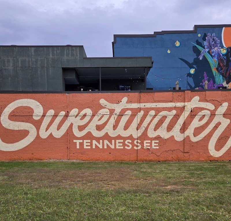 Sweetwater TN mural - Image 2