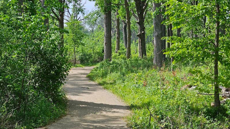 Captain Daniel Wright Woods Forest Preserve - Image 3