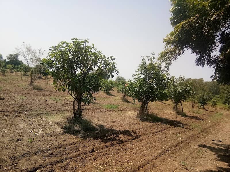 Bhai bhai farm - Image 1