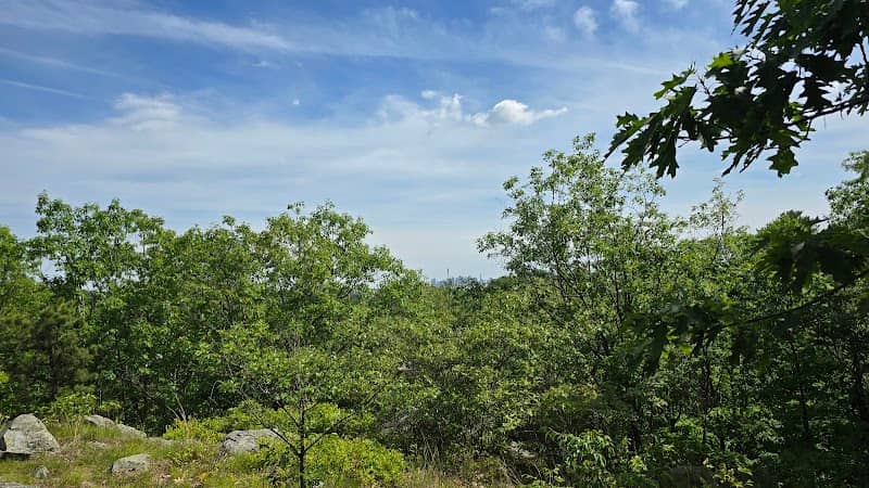 Boston Viewpoint - Image 1