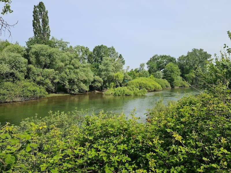 Zona umida di San Michele Vecchio - Image 1