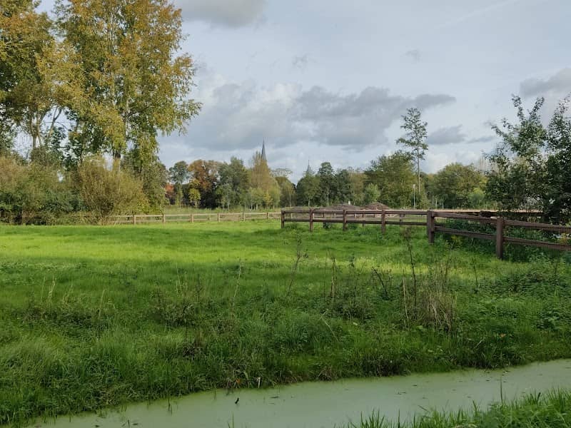 Het Groene Hart - Image 2