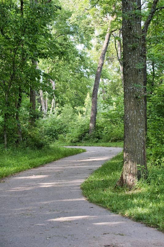 Cameron Reservoir Walking Trail - Image 1