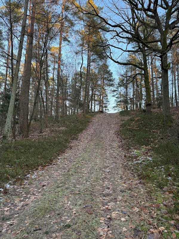 Tappenshöhe - Image 1