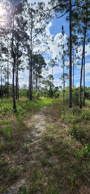 Micco Scrub Sanctuary - Image 1