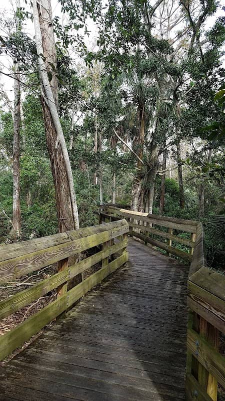 Winston Park and Nature Trail - Image 2