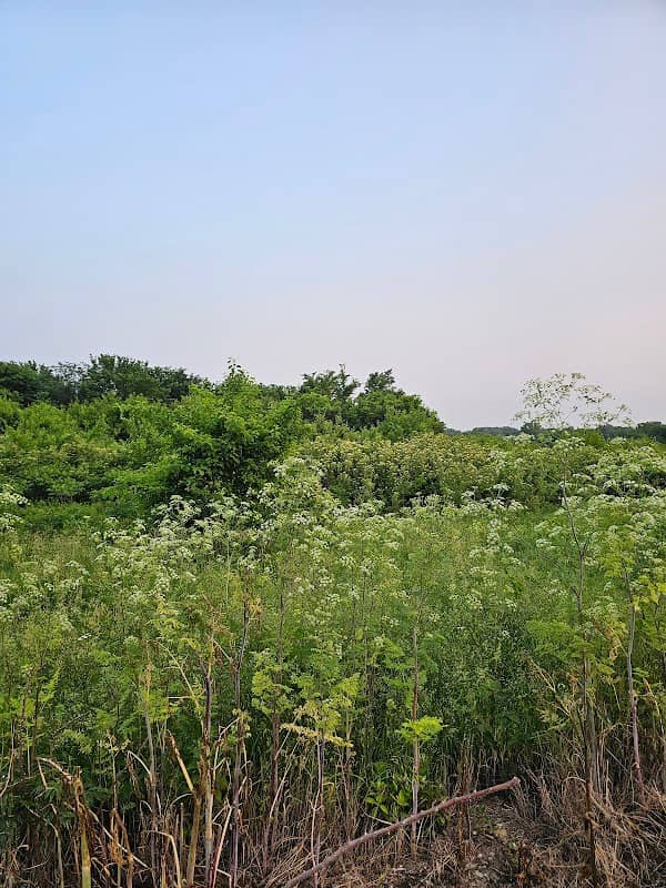 Reichart Marsh - Image 1
