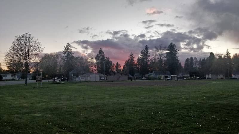 Moos Field - Image 1