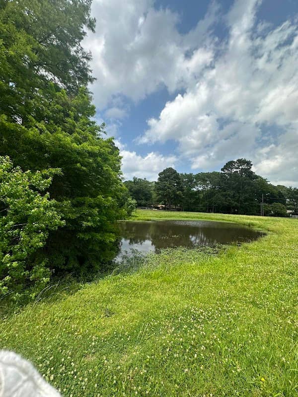 Highland Park Wetland Trails - Image 1