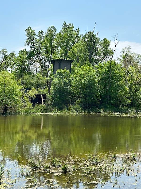 Keehne Environmental Area - Image 1