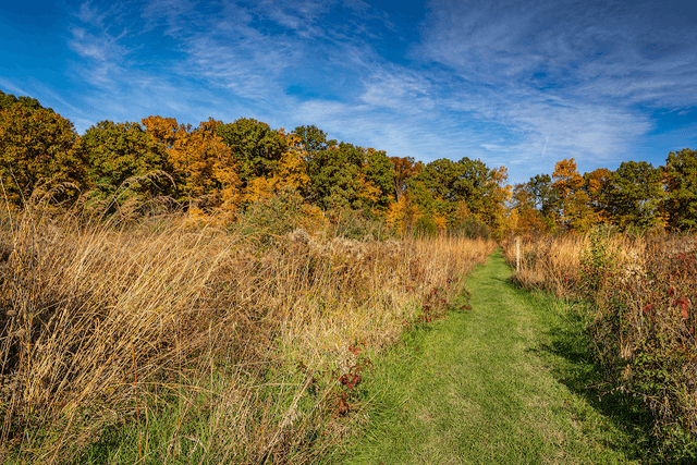 Tel-Hy Nature Preserve - Acres Land Trust - Image 2