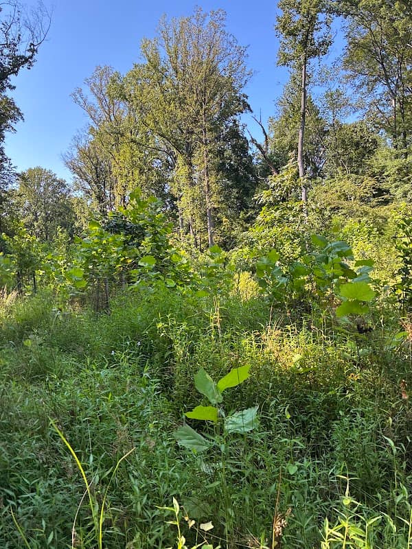 Diamond Farm Park Trails - Image 2