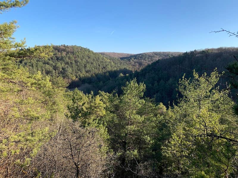 Point de vue - Image 1
