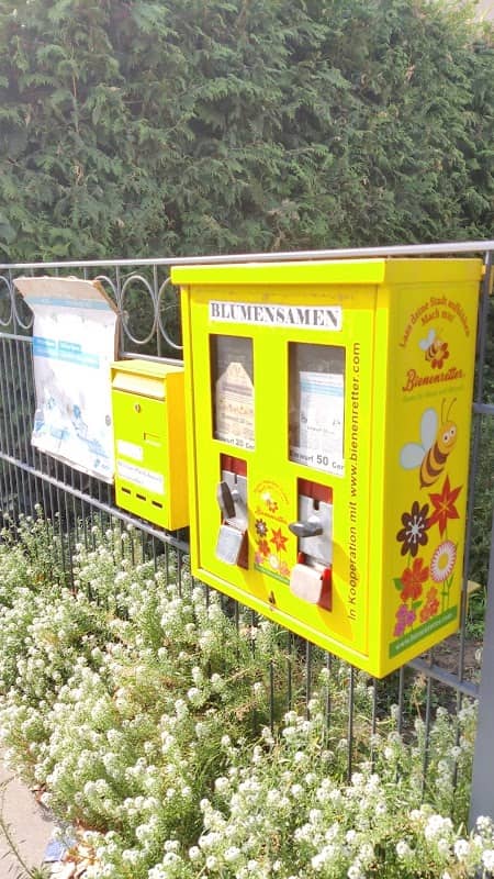 Bienenfutterautomat - Image 1