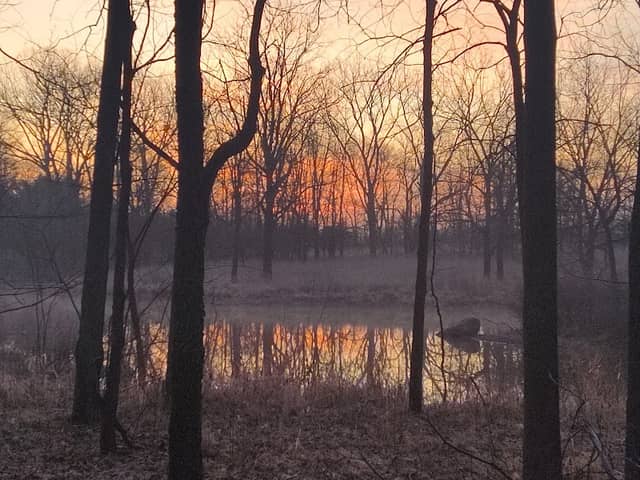 Collins Pond Trail - Image 1