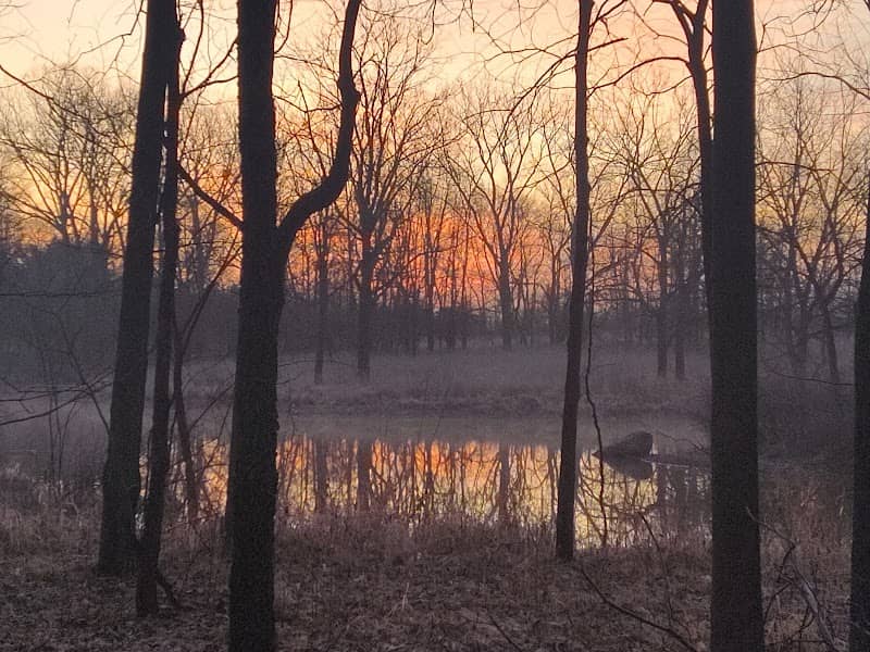 Collins Pond Trail - Image 1