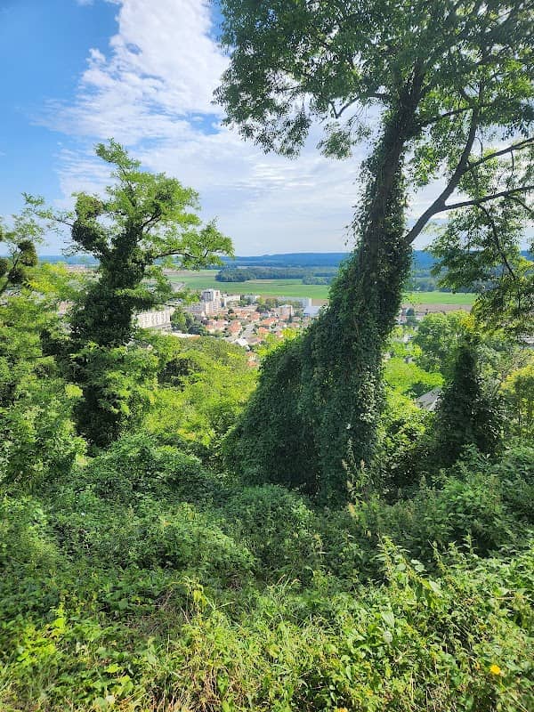 Parc de la Citadelle - Image 1