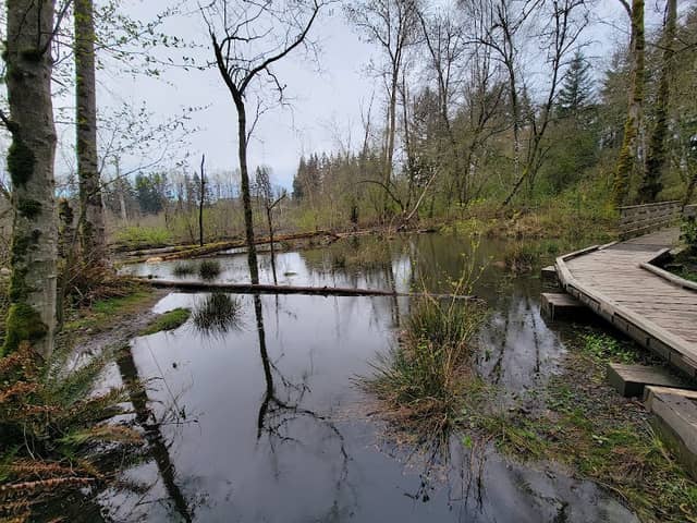 Big Finn Hill Park - Image 1