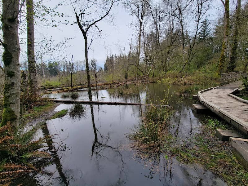 Big Finn Hill Park - Image 1