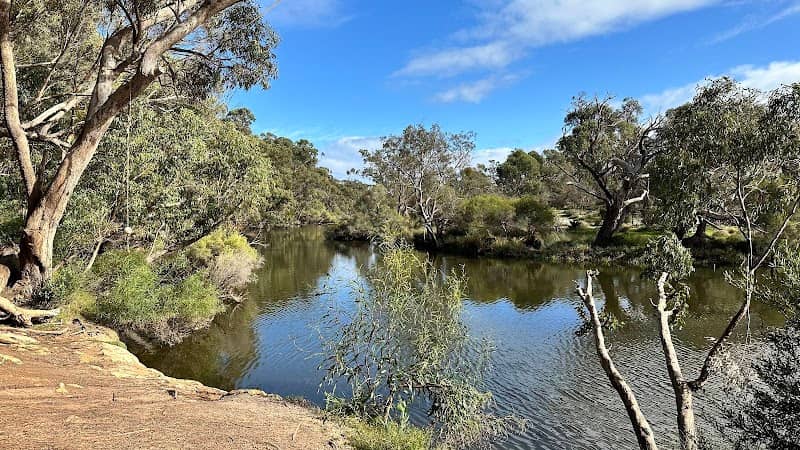Moore River rope swing - Image 1