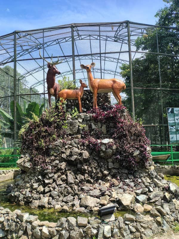 Manipur Zoological Garden (Sangai Dancing Deer Habitat)- Imphal West District, Manipur, India - Image 1