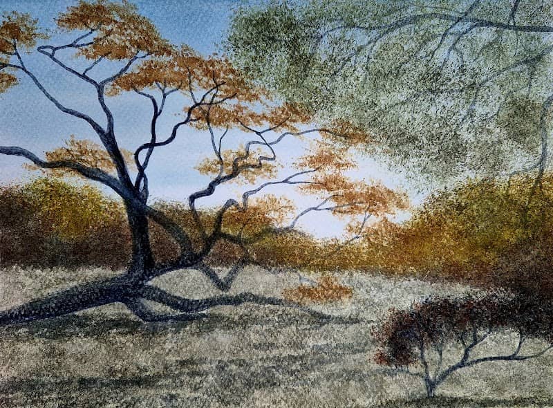 The Sleeping Tree - Image 1