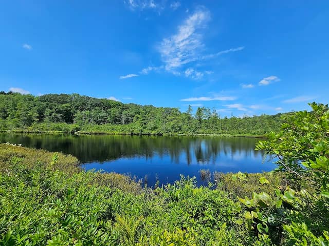Triangle Lake Bog State Nature Preserve - Image 2